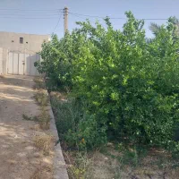 فروش-باغشهری-بادوله