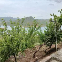 باغ