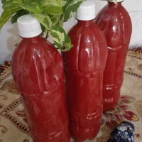 رب خانگی