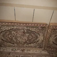 پشتی دست دو