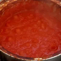 رب خانگی