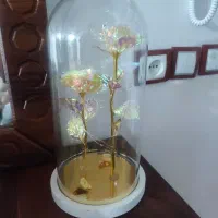 گل چراغ دار