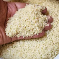 برنج کامفیروزی