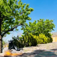 سرایداری شاندیز