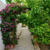 اجاره کوتاه مدت باغ و ویلا