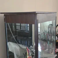 اکواریوم
