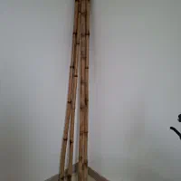 نی بامبو