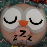 کریر نو و استفاده نشده همراه با بالشت شیردهی