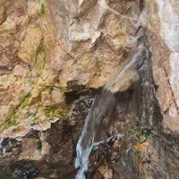 دعا گرفتن ـ سادات