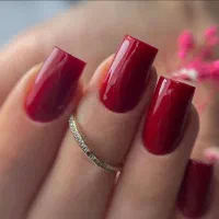 اجاره لاین ناخن و تخت