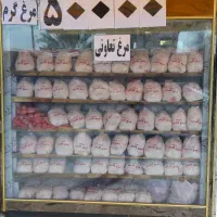 نیازمند  کارگر  مرغ فروشی