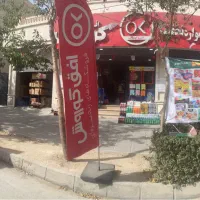 استخدام نیرو کار برای افق کوروش