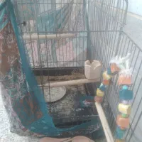 یک عدد قفس ۱۰۳۲ مناسب همه نوع پرنده