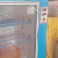 دستگاه شتر مرغ
