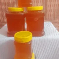 عسل کندو