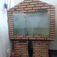 اکواریوم زیبا