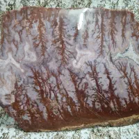 سنگ عقیق شجره