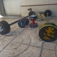 هالتر بتنی اسپرت