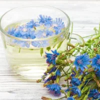 گیاه و عرق کاسنی جزیی ب قیمت عمده