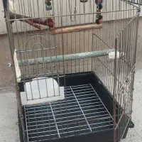 تعدادی قفس  پرنده