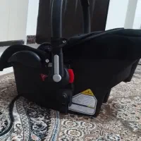 کریر نوزاد هست