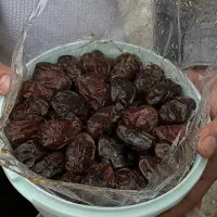 خرما کبکاب صادراتی / اقتصادی