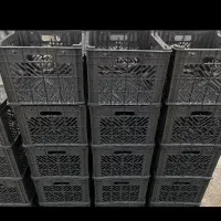 سبد جا گوجه