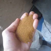 سلام خاکشیر موجود است