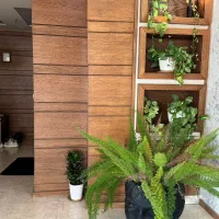 ۲ خواب / جنوبی