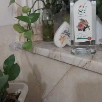عرقیجات گل ایین کاشان