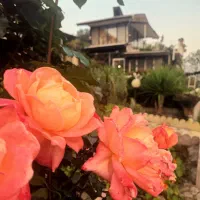 ویلای جنگلی اطاقور