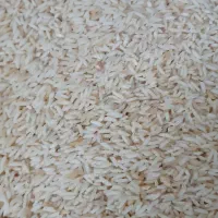 برنج هاشمی