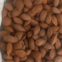 خریدار بادام تلخ