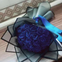 گل روبانی فول شاین