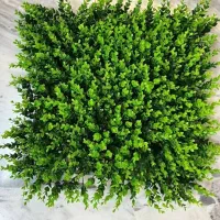 گرینوال شمشاددورنگ