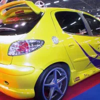 بال عقب ۲۰۶