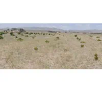 تانکراباد قز