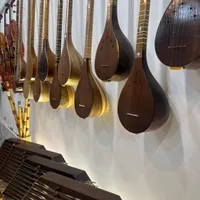 سه تار حرفه ای همراه آموزش