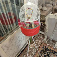 عروس هلندی جف با وسایل کامل