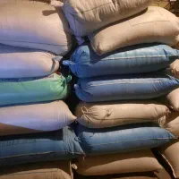 پرس یونجه، گندوم وجو