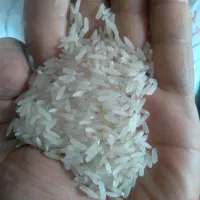 برنج تایلندی ۲۱