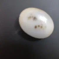 سنگ کربلا