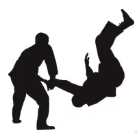 دفاع شخصی و بادیگاردی