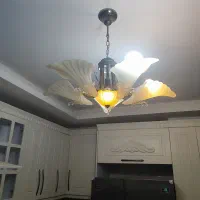 لوستر کار کرده