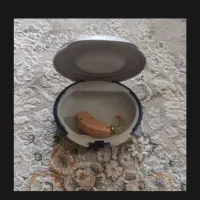 سمعک برند ارنت