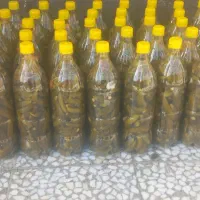 خیارشور بطری