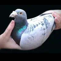 نداشتن جای کافی