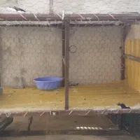 قفس آهنی محکم