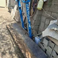 بیل کشاورزی اخلی