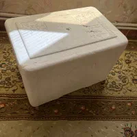 یخ دان